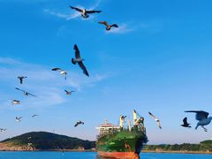-海驴岛(荣成市)