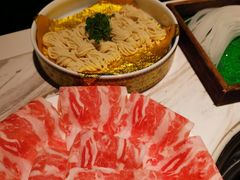 -汤城·料青山