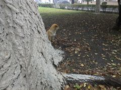 -辽宁大学(崇山校区)