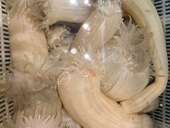 -健眺小海鲜(临海后山店)