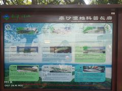 景点-大湾区中央湿地公园