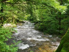 -丹东天桥沟景区