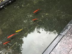 -大华锦绣假日酒店·锦味餐厅