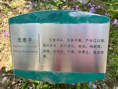 -白塘生态植物园