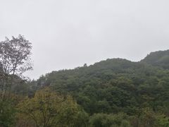 -牛背梁国家森林公园