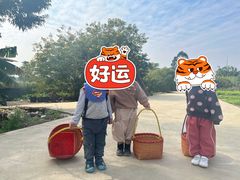 -新塘水果乐园(东洲大道店)