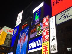 -道顿堀水上观光船(太左衛門橋船着場)