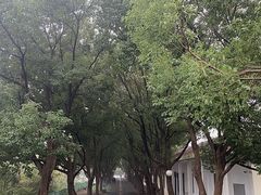 -苏州太湖西山岛开心农场