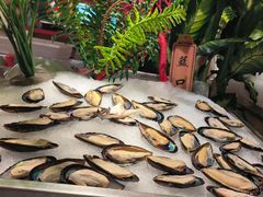 -吉布鲁 牛排海鲜自助(岳塘步步高广场店)