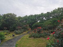 -东湖落雁景区