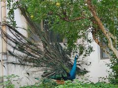 -舜耕山庄四时万和自助餐厅