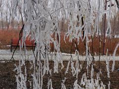 景点-南海子公园