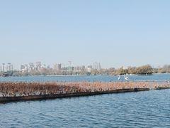 -济南大明湖景区