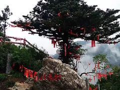 -牛背梁国家森林公园