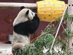 -杭州野生动物世界