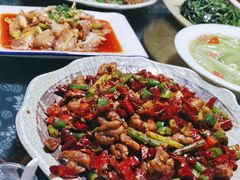 -青城甲(青城山店)