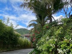 -海南槟榔谷黎苗文化旅游区