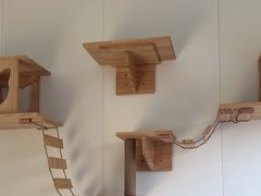 -美联众合动物医院·24h京西诊疗中心