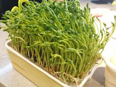 现剪现吃豌豆苗-海底捞火锅(枫蓝国际购物中心店)