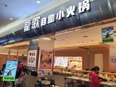 -龍歌自助小火锅(市南金茂湾店)