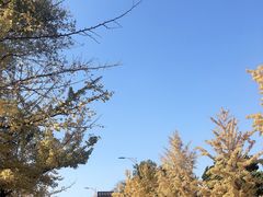 -日本风情街