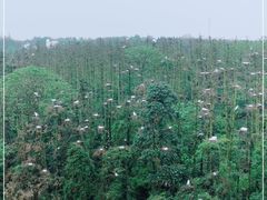 -象山森林公园