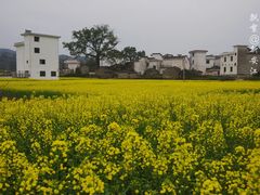 -新安江山水画廊风景区