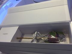 -新世界大丸百货