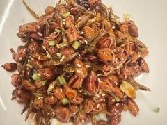 -秀儿四九城·新京菜(亚运村鸟巢店)