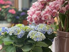 -泉乐坊步行街(烟酒特产平价超市店)