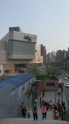 -痣缘宫