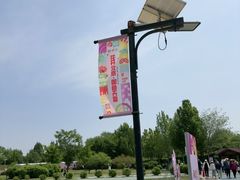 -太阳宫公园