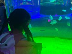 -海合安成都极地海洋公园