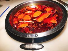 -孙毛肚火锅(春熙路店)