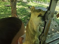 -西安秦岭野生动物园