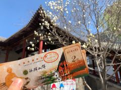 -碑林公园