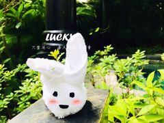 -广州都喜泰丽温泉度假酒店