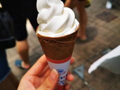 -富豪雪糕车流动点(尖沙咀店)