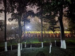 -龙头寺公园