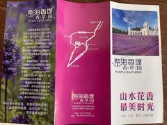 -紫海香堤香草艺术庄园