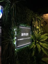 -藤野造型·专业烫染店