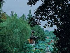 -虎跑公园