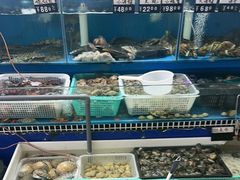 -昌顺园·养马岛渔家海鲜餐厅·老鲁菜(龙湖店)
