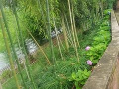 -江南荣村(小溪店)