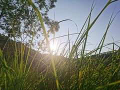 -神光山国家森林公园