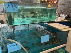 -钓台野鱼馆(钱江国际时代广场店)