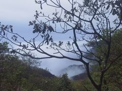 -萍乡武功山风景名胜区