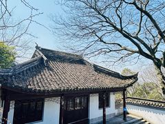 -上海佘山国家森林公园天马山园