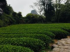-武夷山风景名胜区-虎啸岩