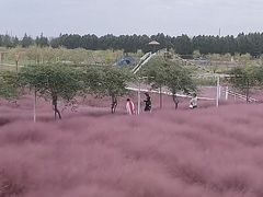 -嘉北郊野公园